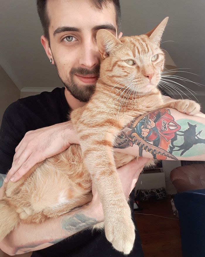 My Boy Bandit. Adopted Him Nearly 2 Years Ago Now. Thanks Galway Cat Rescue!