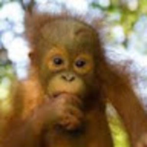 sundariraghunath avatar