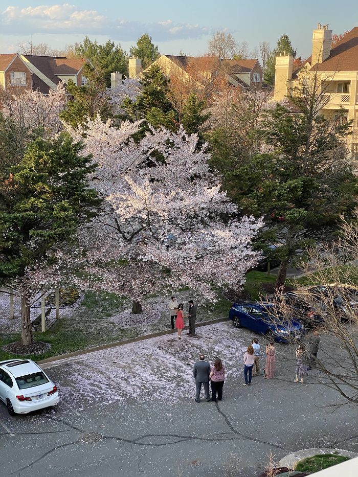 Taken From My Balcony. I Happened To Overhear Your Beautiful Ceremony When I Went Outside To Play D&D On My Laptop