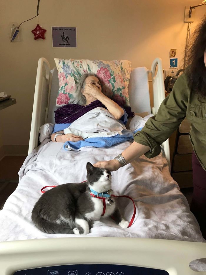 The Nurses Let Henry See Nona For Christmas And He Spent The Entire Day On Her Lap