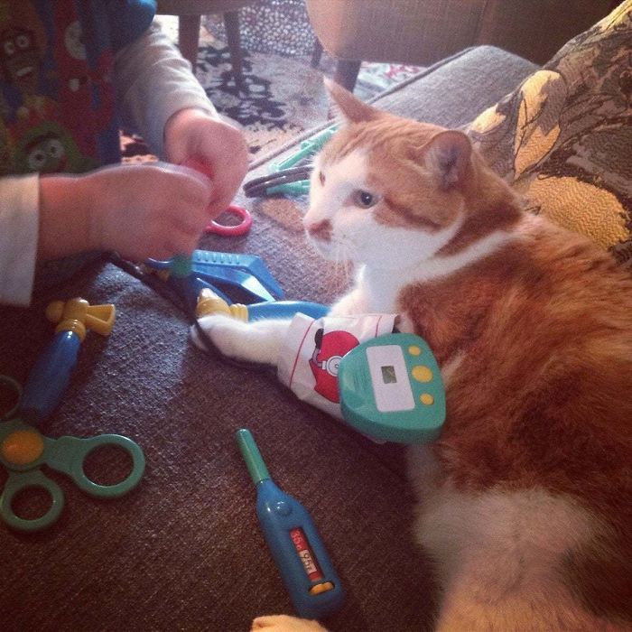 My Son Playing Doctor With The Best Cat Ever...