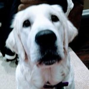 carol_walker-juszczyk avatar