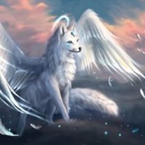 angel_eyes_27 avatar