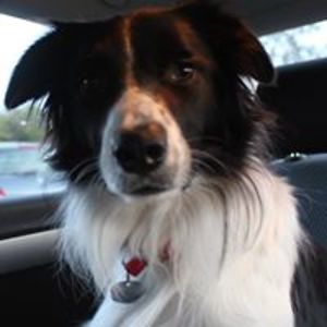 yvonne_mackay avatar