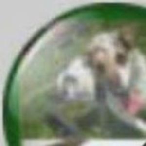 shireen_mckee avatar