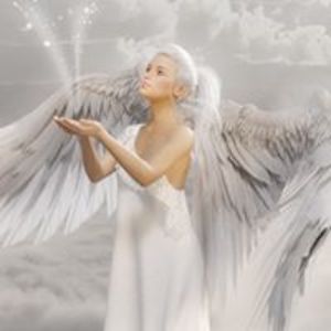 anita_schaerlaeken avatar