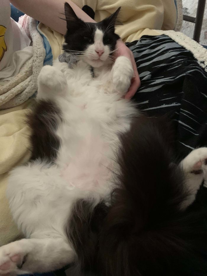 Only A Couple Days After Being Adopted