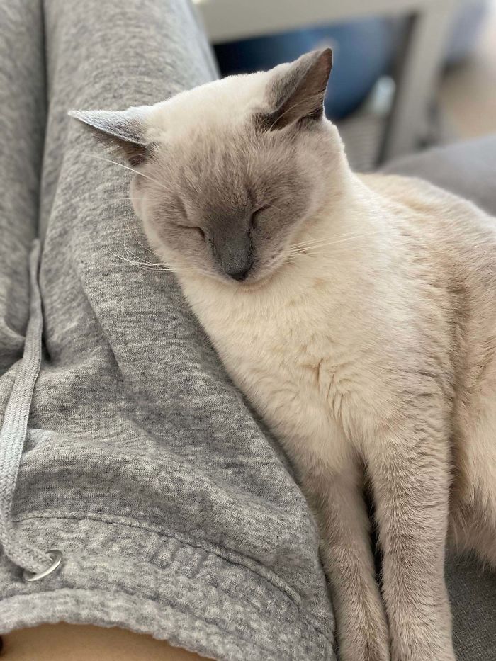 A Year After Adoption My Aloof Girl Is Slowly Accepting Human Contact