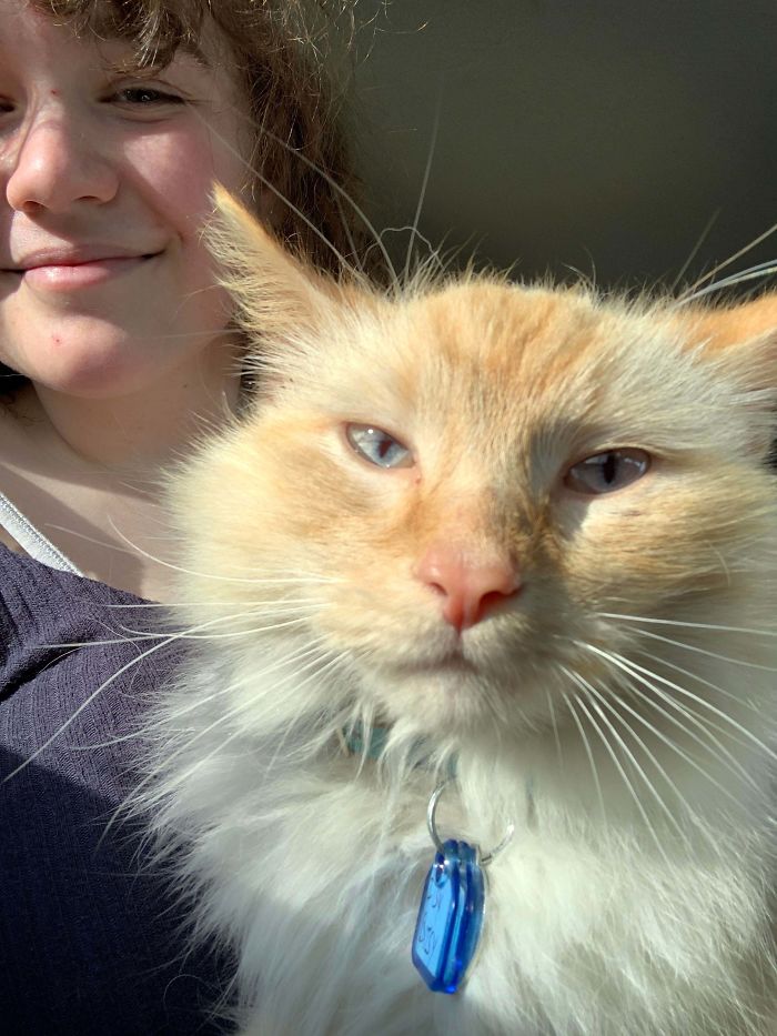 I Adopted My First Kitty After Leaving A Not So Great Home Life. Today Was The First Day In A Long While I’ve Felt True Happiness And Joy. Welcome Home, Bagheera.