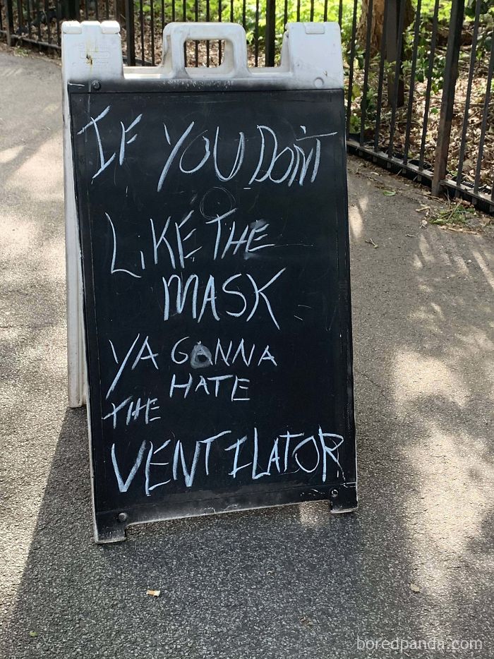 Found At A Park In Brooklyn, NYC