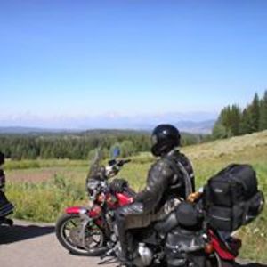 shirleybrowngables avatar