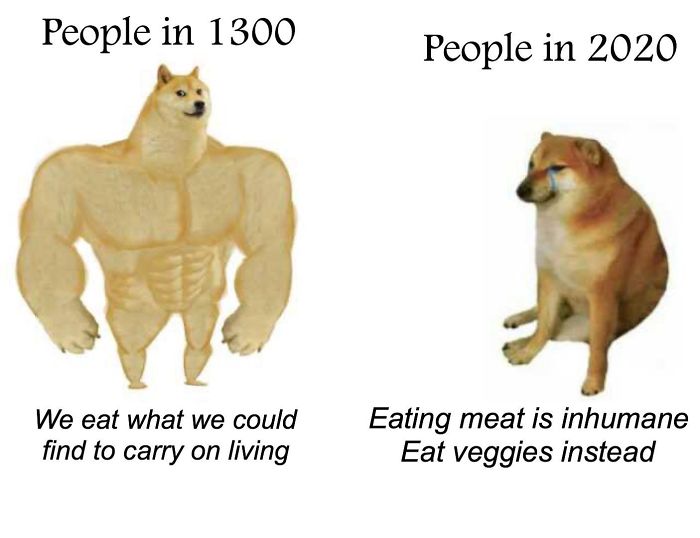 Then-Now-Dog-Meme