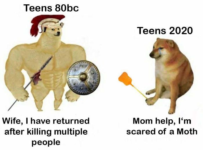 Then-Now-Dog-Meme
