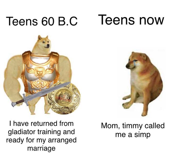 Then-Now-Dog-Meme
