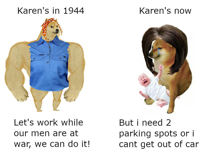 Then-Now-Dog-Meme