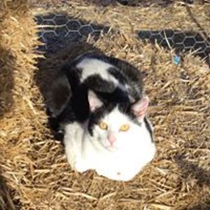 heather_jones avatar