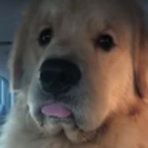 joslincunanan avatar