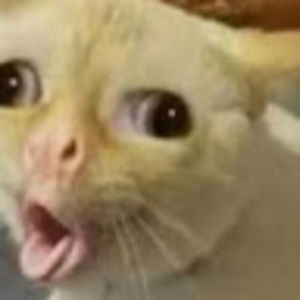 kendalladnams avatar