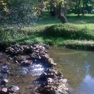 dark_magician001 avatar