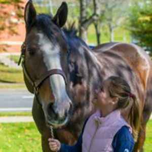 adcockjennifer avatar