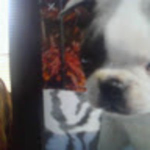 auroragraham-hayes avatar