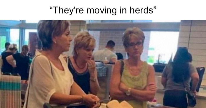 People Sick Of Entitled Women Are Posting These ‘Karen’ Jokes As Revenge For Their Behavior (40 Pics)