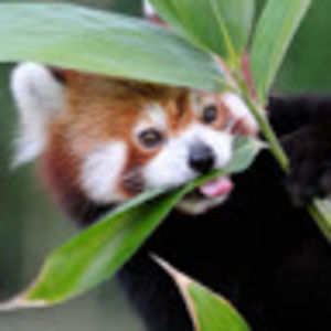 kennedylongworth_1 avatar