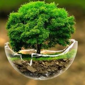 sedwards_is_here avatar