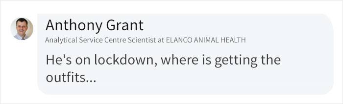 Man Continuously Tries To Embarrass His Wife During Her Zoom Calls By Hilariously Photobombing Them Man Continuously Tries To Embarrass His Wife During Her Zoom Calls By Hilariously Photobombing Them