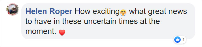 Sanctuary For Unwanted Animals Takes In A Pair Of Rare Rusty-Spotted Cats, Reveals They Have Two Adorable Babies