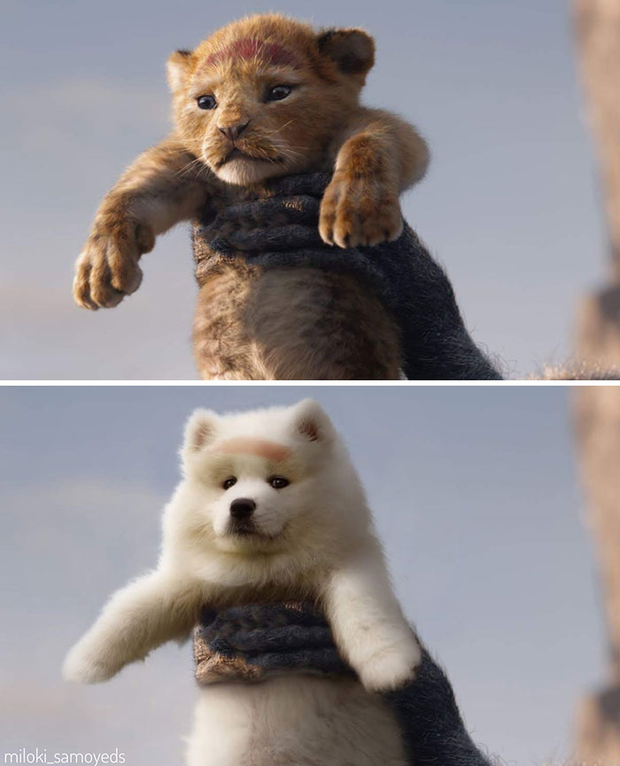 Everything The Light Touches Is Your Kingdom, Myla. Except For Those Socks