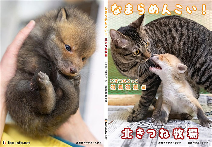 Japanese Man Goes To Social Media To Search For The Owners Of The "Puppy" He Found, Finds Out It's Not A Puppy After All Japanese Man Goes To Social Media To Search For The Owners Of The "Puppy" He Found, Finds Out It's Not A Puppy After All