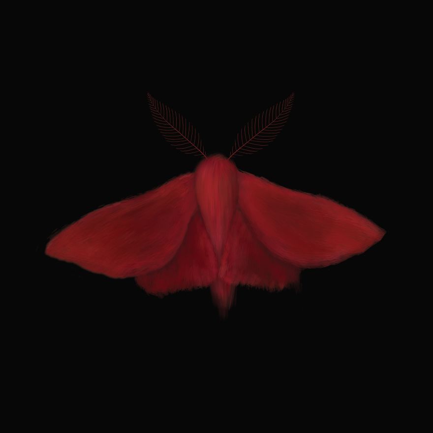 I Created Surreal Moths During Covid-19 Isolation