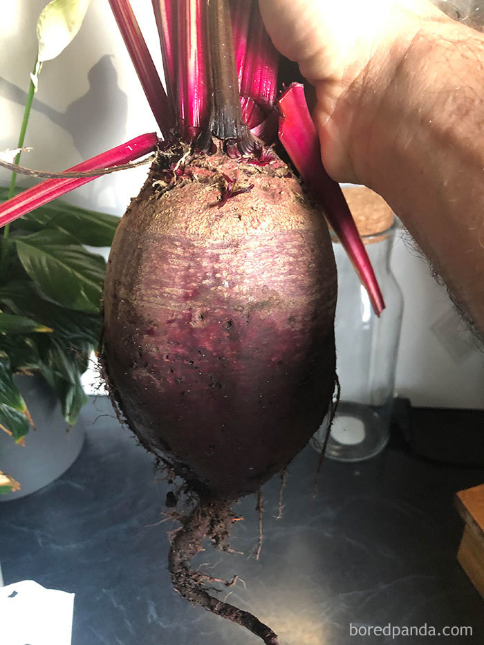 Giant-Produce-Food-Delivery-Quarantine