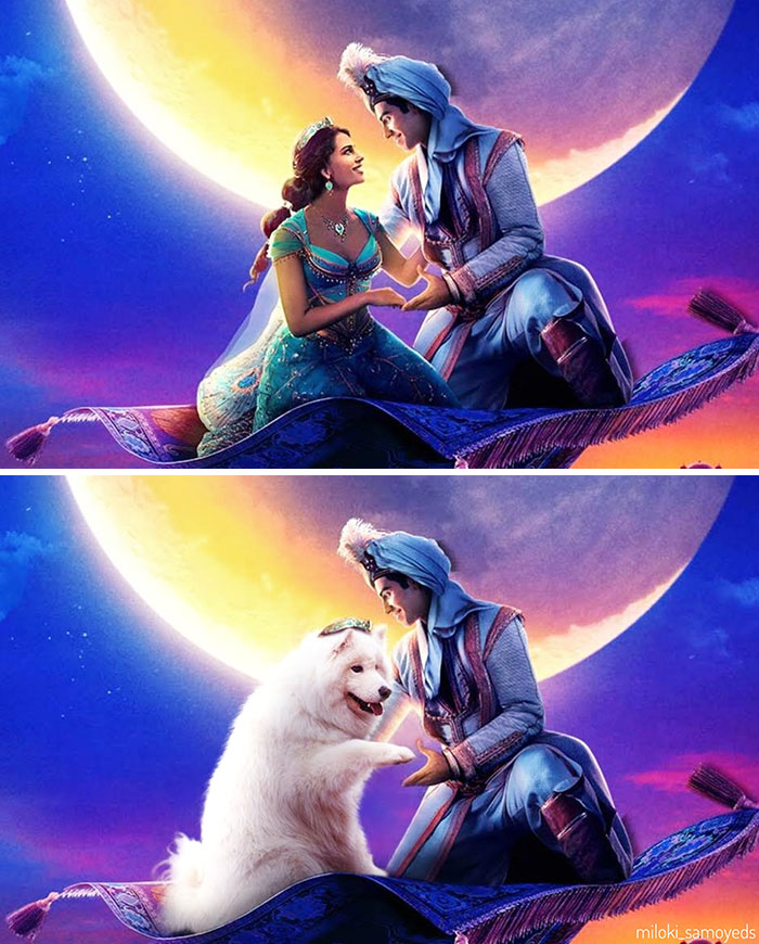 'the World Is Great And All... But You Promised Me Chicken. I Want Chicken.' - Summer