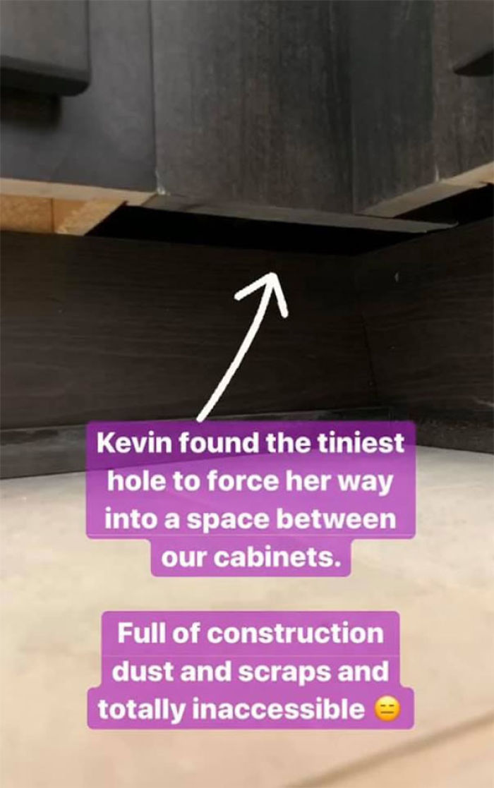 Woman Hilariously Documents Her Attempt To Take Care Of The Cat Who Wouldn't Stop Visiting Her Woman Hilariously Documents Her Attempt To Take Care Of The Cat Who Wouldn't Stop Visiting Her