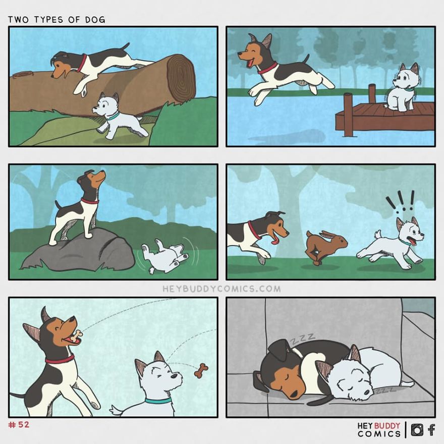 Here Are My Comics Inspired By My Dog That Most Dog Owners May Relate To (23 New Pics)