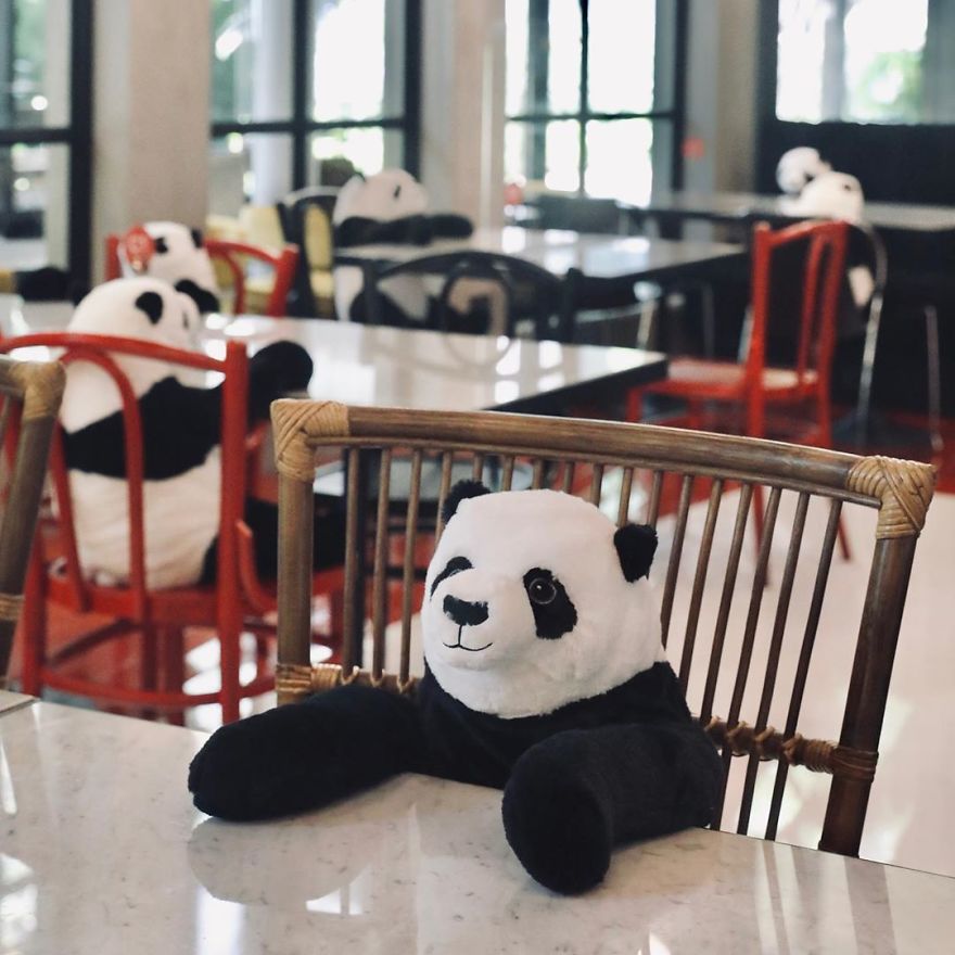Restaurant Finds A Genius Way To Help Their Customers Feel Less Lonely While Social Distancing Using Pandas (10 Pics) Restaurant Finds A Genius Way To Help Their Customers Feel Less Lonely While Social Distancing Using Pandas (10 Pics)