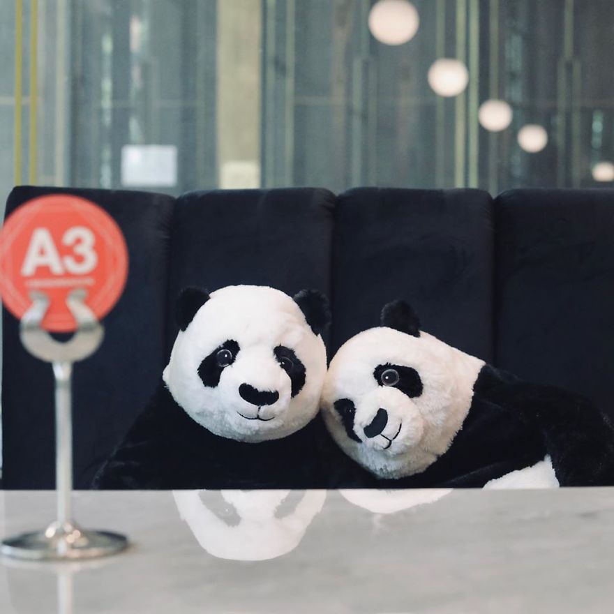 Restaurant Finds A Genius Way To Help Their Customers Feel Less Lonely While Social Distancing Using Pandas (10 Pics) Restaurant Finds A Genius Way To Help Their Customers Feel Less Lonely While Social Distancing Using Pandas (10 Pics)
