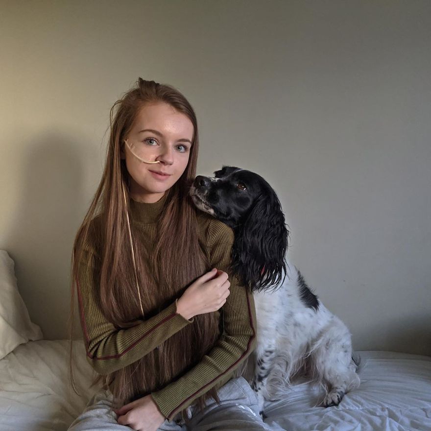 A Girl With A Disability Has The Most Adorable Helper - A Springer Spaniel Named Ted (17 Pics)