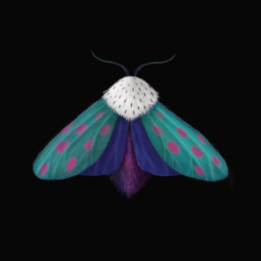I Created Surreal Moths During Covid-19 Isolation