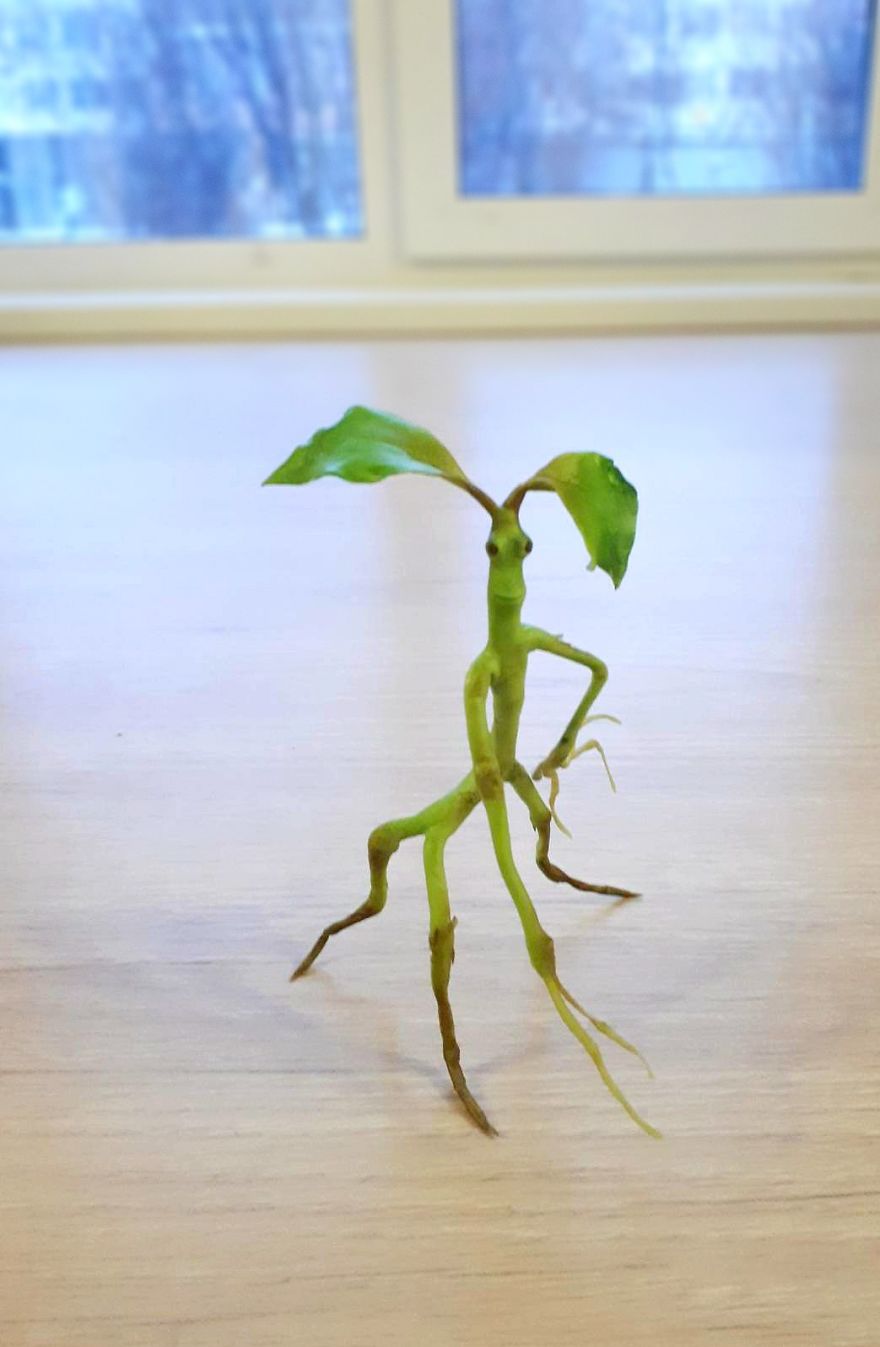 A Russian Mother Of Three Has Become A Master Of Miniatures From Cold Porcelain