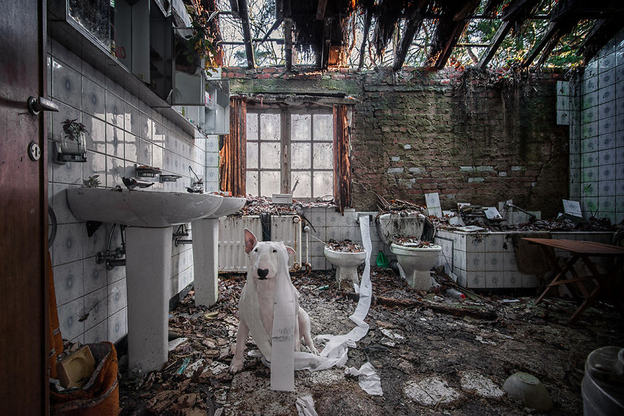 I Survived The Great Toilet Paper Scare Of 2020