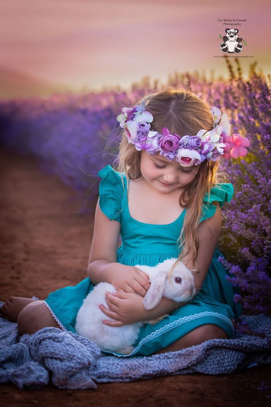 Animal-Dog-Photography-Bridestowe-Lavender-Estate-Tasmania-Deb-Sulzberger