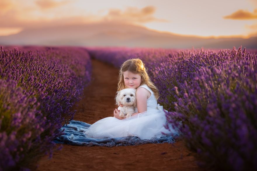 Animal-Dog-Photography-Bridestowe-Lavender-Estate-Tasmania-Deb-Sulzberger