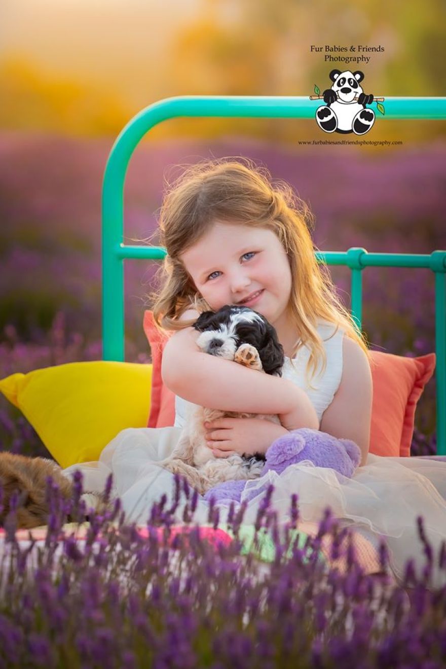 Animal-Dog-Photography-Bridestowe-Lavender-Estate-Tasmania-Deb-Sulzberger