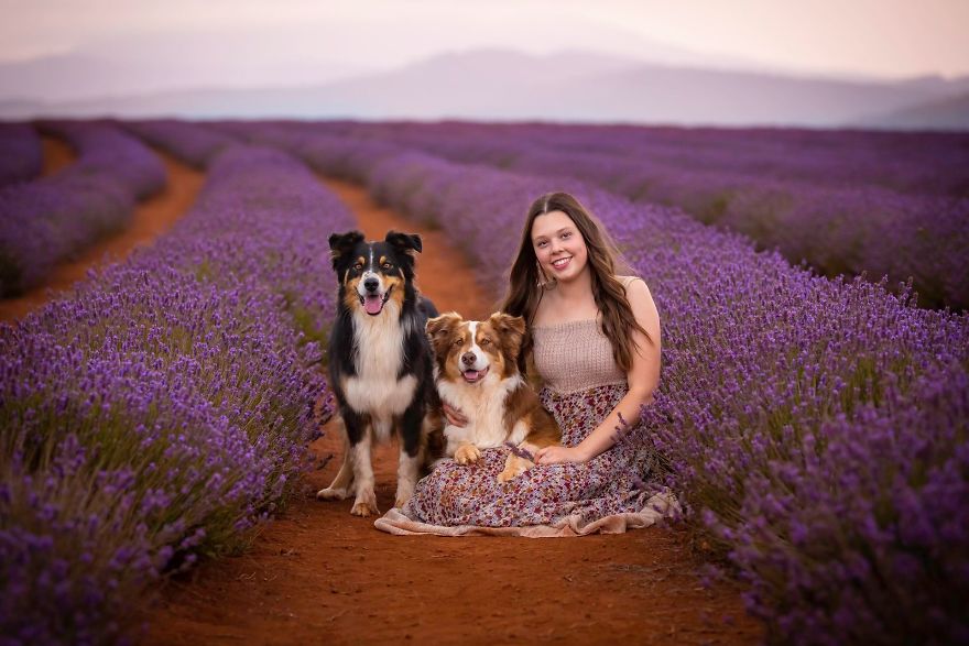 Animal-Dog-Photography-Bridestowe-Lavender-Estate-Tasmania-Deb-Sulzberger