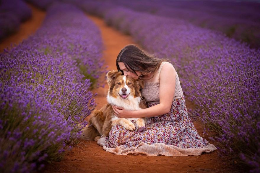 Animal-Dog-Photography-Bridestowe-Lavender-Estate-Tasmania-Deb-Sulzberger