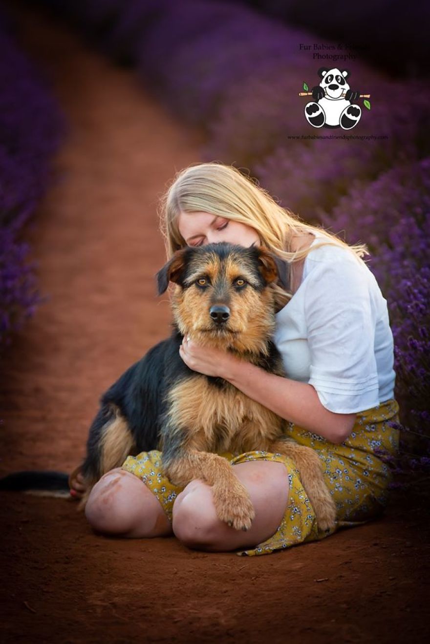 Animal-Dog-Photography-Bridestowe-Lavender-Estate-Tasmania-Deb-Sulzberger