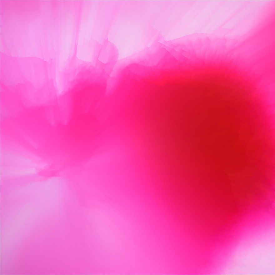 Artists Stand Up For Covid-19 Relief By Audiovisual Compilation 'Solace'